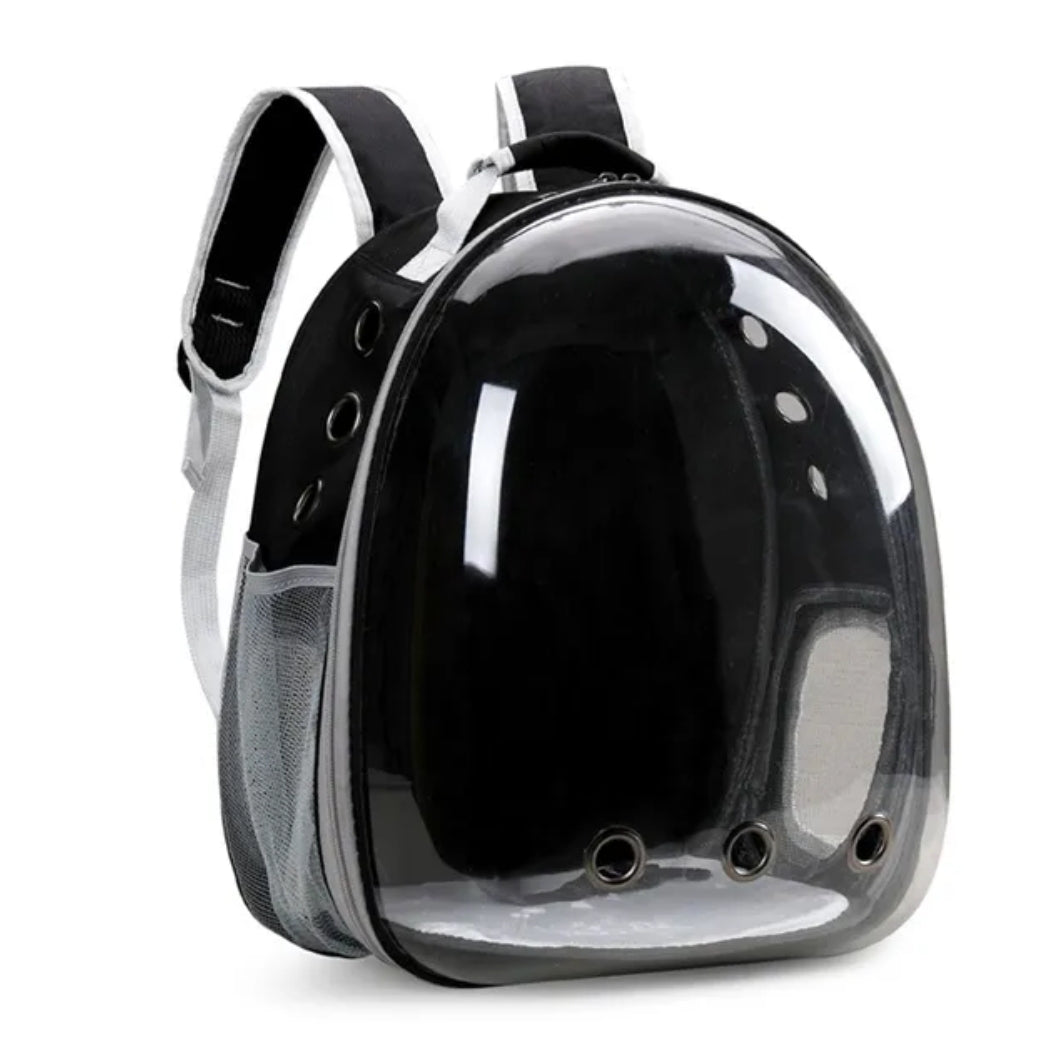 sac à dos transparent pour animaux de compagnie