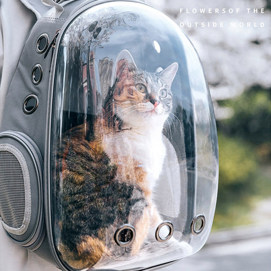 sac à dos transparent pour animaux de compagnie