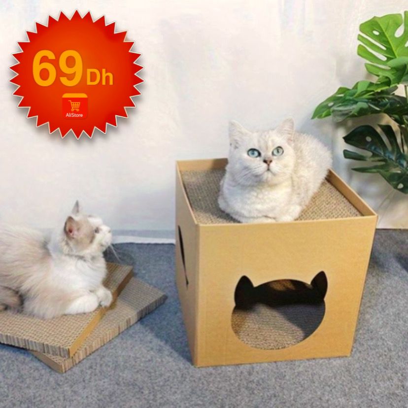 Maison à gratter en carton pour chats