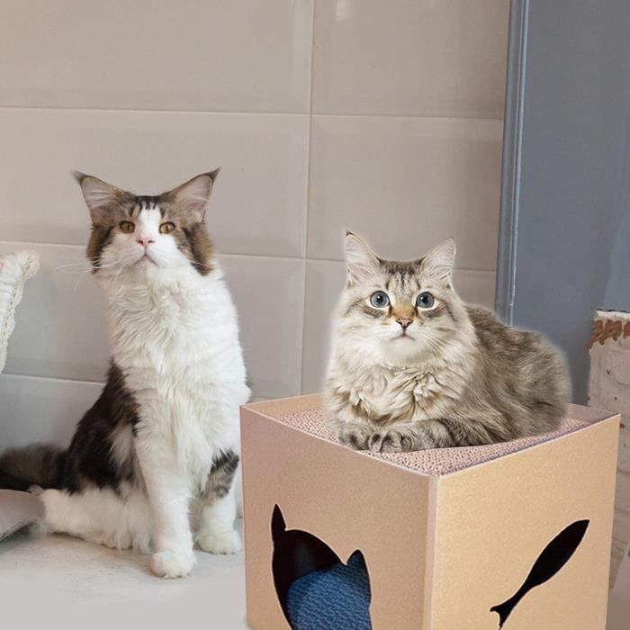 Maison à gratter en carton pour chats