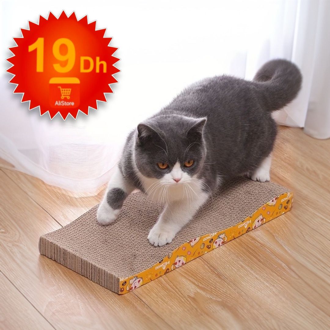 Planche à gratter en carton durable pour chat