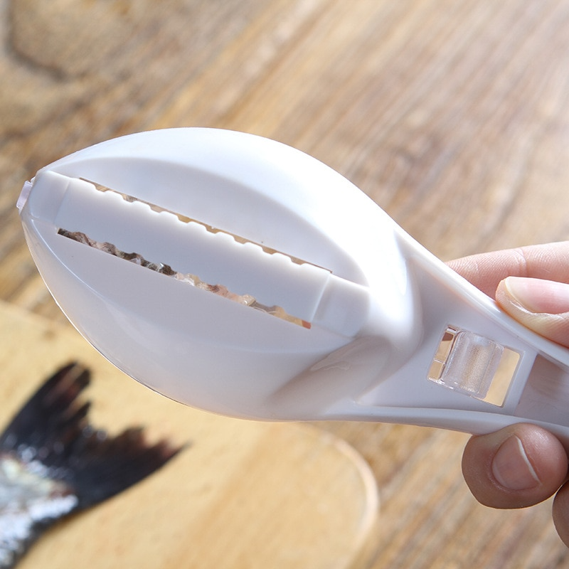 Brosse de nettoyage pour écailles de poisson